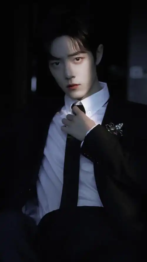 有那些可以用来当壁纸的肖战照片