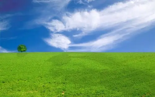 桌面壁纸 风景壁纸 > 正文  本文 绿色清新护眼最新壁纸_蓝天白云的