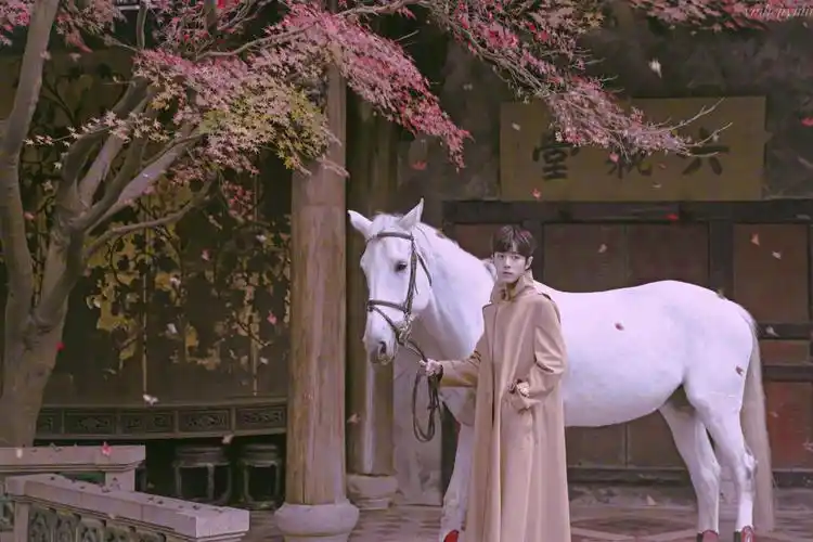 时尚芭莎|肖战 - 堆糖,美图壁纸兴趣社区