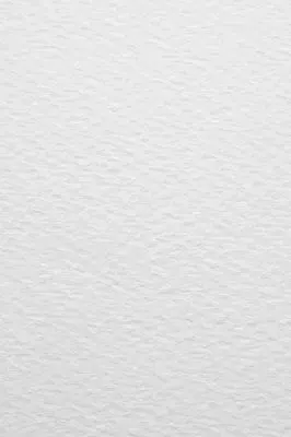 纯色纹理背景纸张材质宣纸背景中国风古风水墨画工笔画国画禅意一只