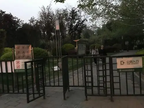 阳光星期八公园