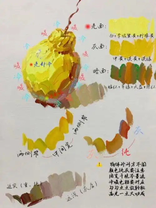色彩雪梨画法步骤分析