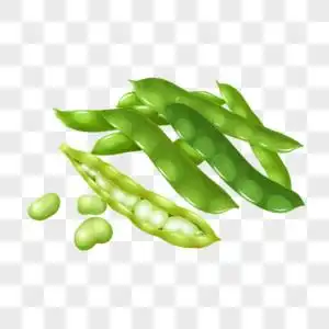 蚕豆花高清图片蚕豆米炒肉高清图片蚕豆米炒肉高清图