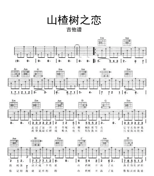 山楂树之恋吉他谱