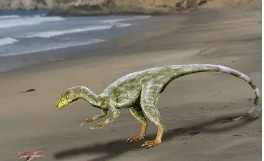 世界上最小的恐龙竟然只有火鸡大小