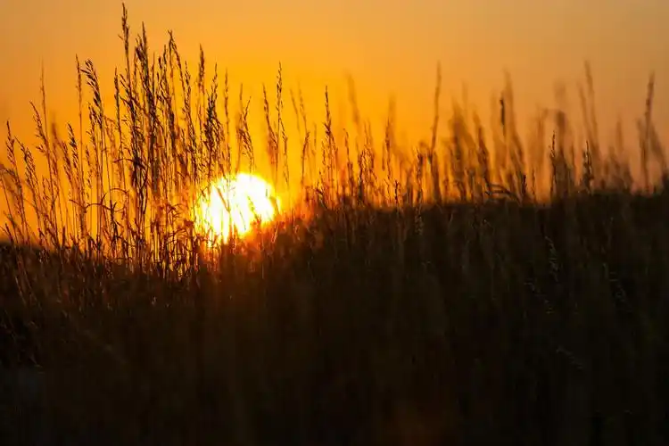 自我救赎,往往只需一瞬间