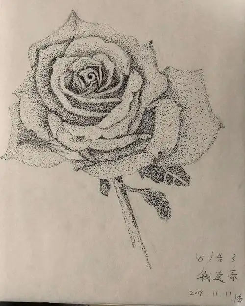 商业插画2018级广告专业黑白点画临摹