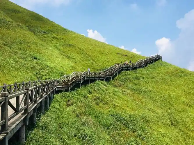 去宜春泡温泉,观明月千古情,登明月山,漫步高山草甸的休闲之旅