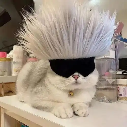 头像丨搞怪有趣的微信头像