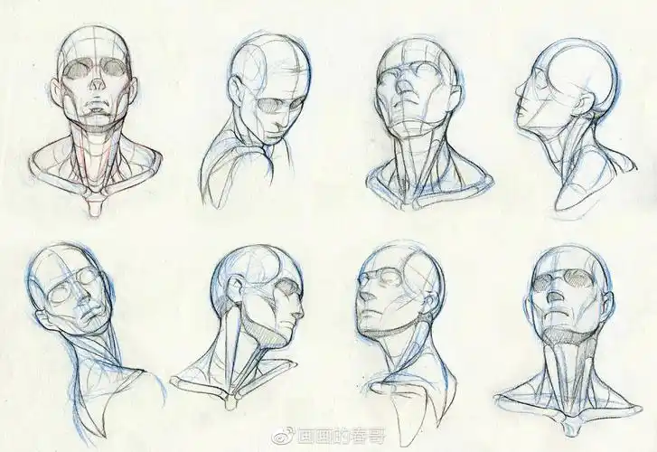 67 最后是人体头部结构:如何简单的去了解头部的结构,头部不同角度