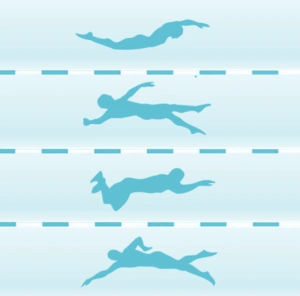 蛙泳是frogswim吗一起带孩子解锁奥运不同泳姿的英文表达