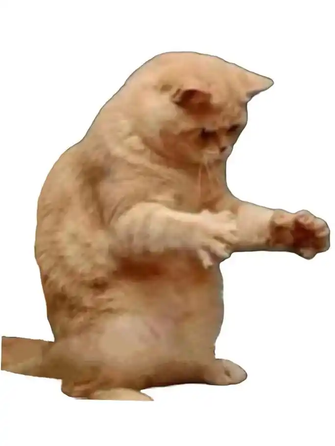 比划大概这么大的手势表情包 - 抖音