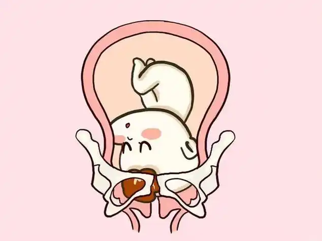 胎儿入盆时间_胎儿入盆时间是三十几周