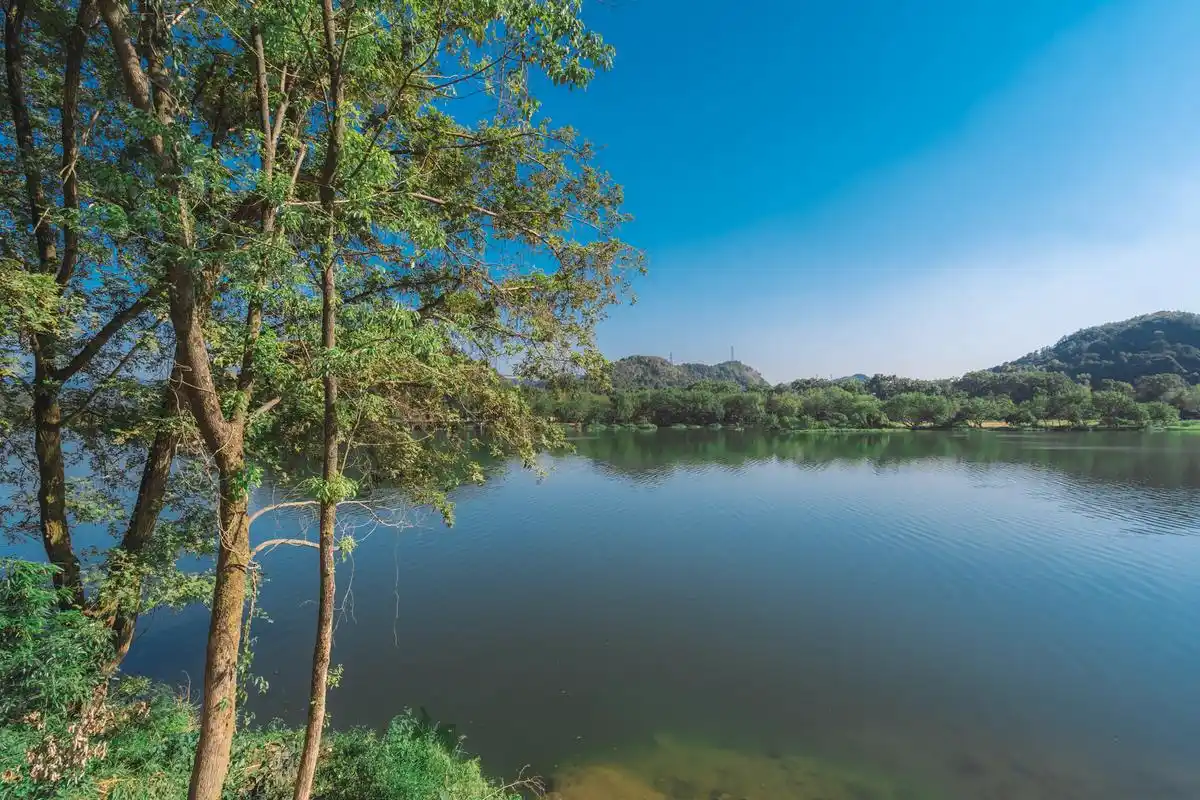 这座城市坐拥绿水青山用氧生绿道打造了全国最美城市花园