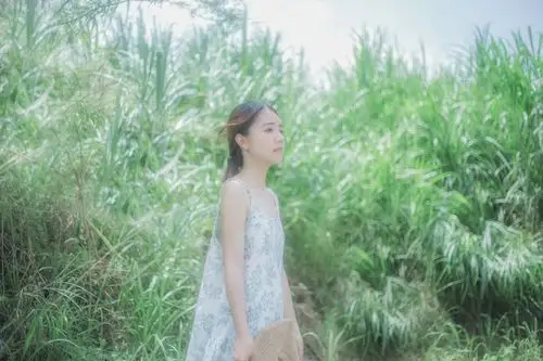 小仙女73 - 堆糖,美图壁纸兴趣社区