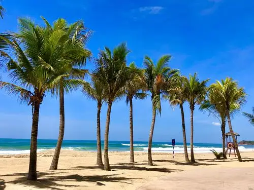 三亚风光.清水湾旅游风景区