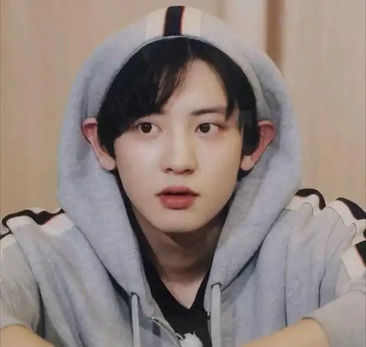 给朋友安利(朴灿烈)