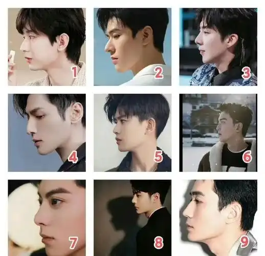 男明星侧脸谁赢了##男明星侧脸图鉴