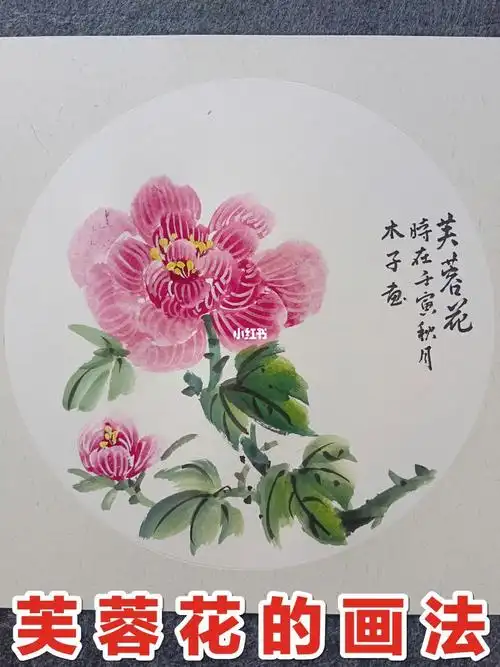 国画芙蓉花的画法化繁为简简单易学