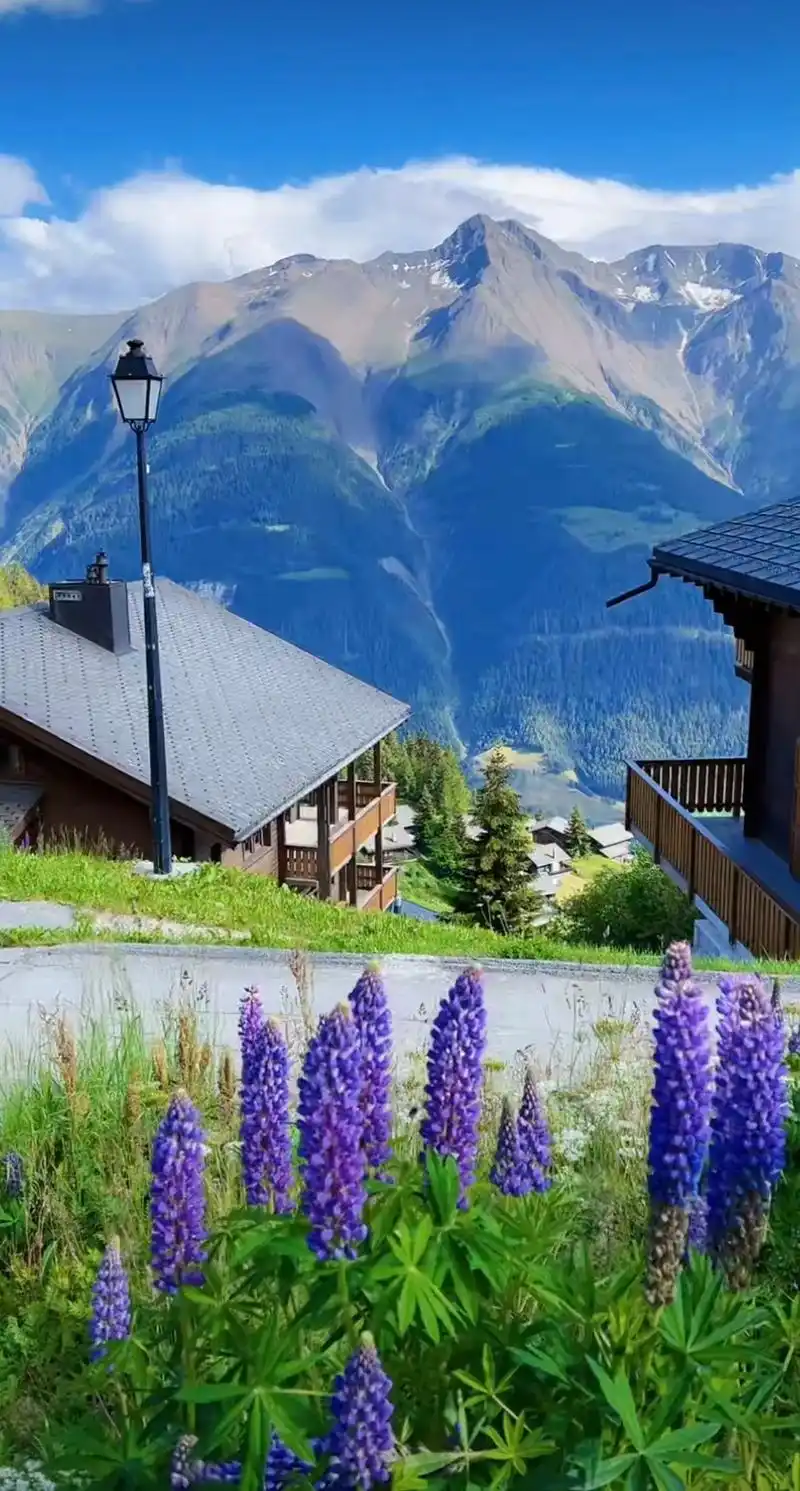 海的这边.花与生活|唯美意境|与自然共生|生活美学 #视觉 - 抖音