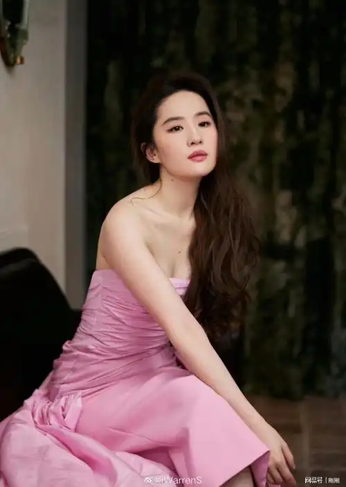 仙品侧颜刘亦菲