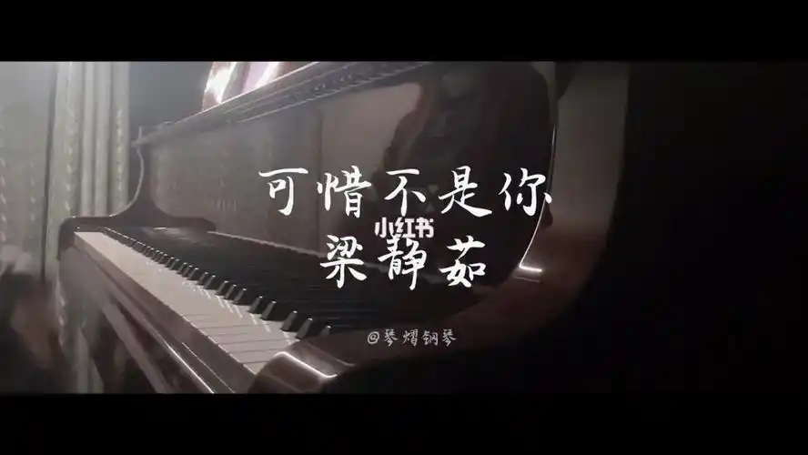 可惜不是你梁静茹