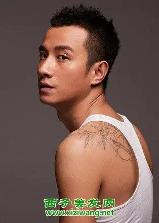 时尚好看文章短发发型图片