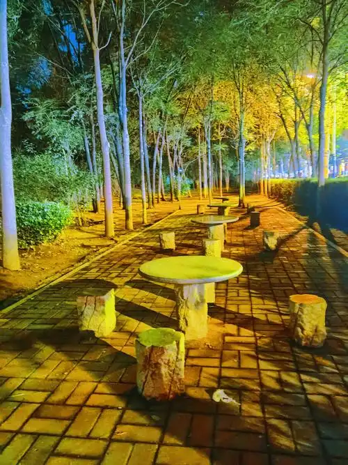 夜晚的公园充满了梦幻