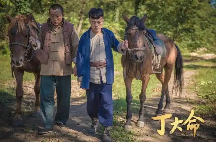 丁大命电视剧全集演员有谁