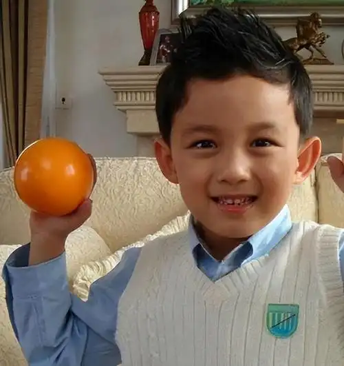 回顾吴磊海报被撤直播被叫停当红演员走到这一步究竟是谁的错