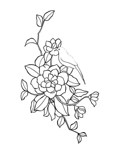 基础手绘|练完这些线条,你画出的线描就无敌了!