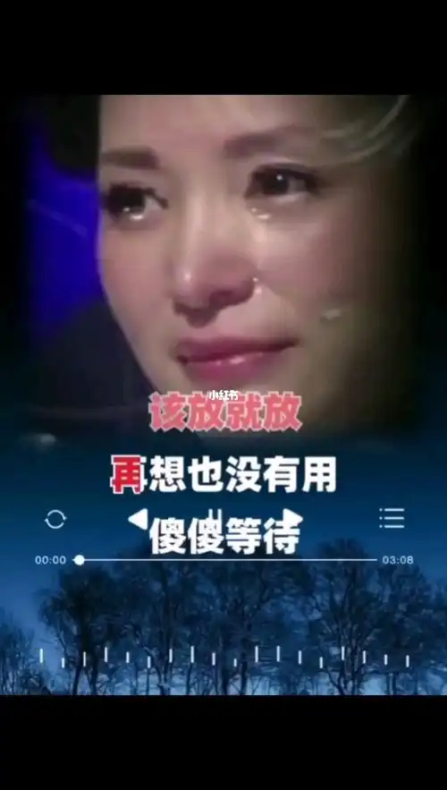 算了吧就这样忘了吧该放就放好累01