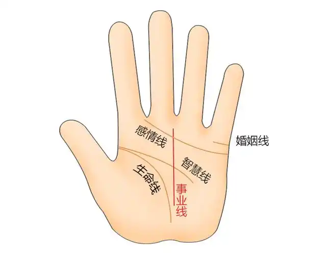 手相事业线_手相感情线上面三条事业线_手相事业线成功线财运