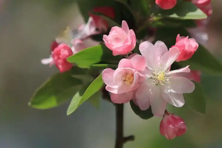 好心情靠找,好心态靠调