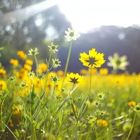 30一40岁成熟女人头像 高清简单干净有品位的女人微信头像图片_女生