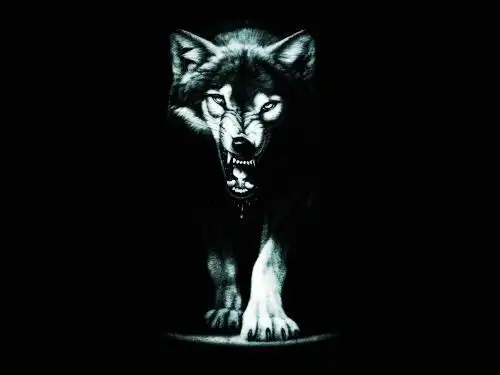 求一张狼的壁纸