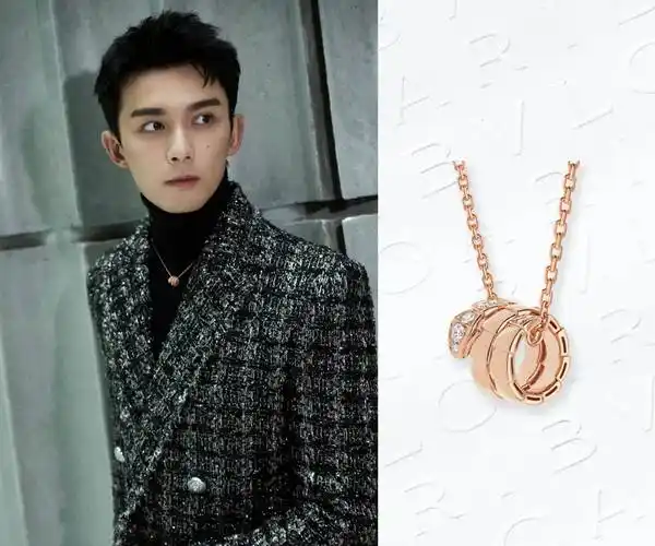 吴磊同款——是这款bvlgari 宝格丽灵蛇项链吗?