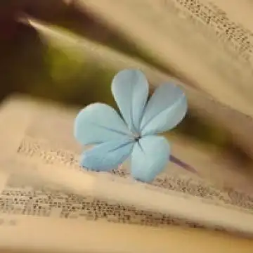 腹有诗书气自华,风景头像图片-回车桌面