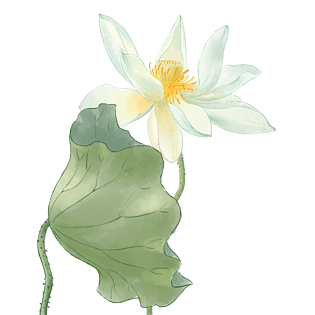 绿叶荷花图片大全_绿叶荷花图片素材【png免费下载】-90设计网