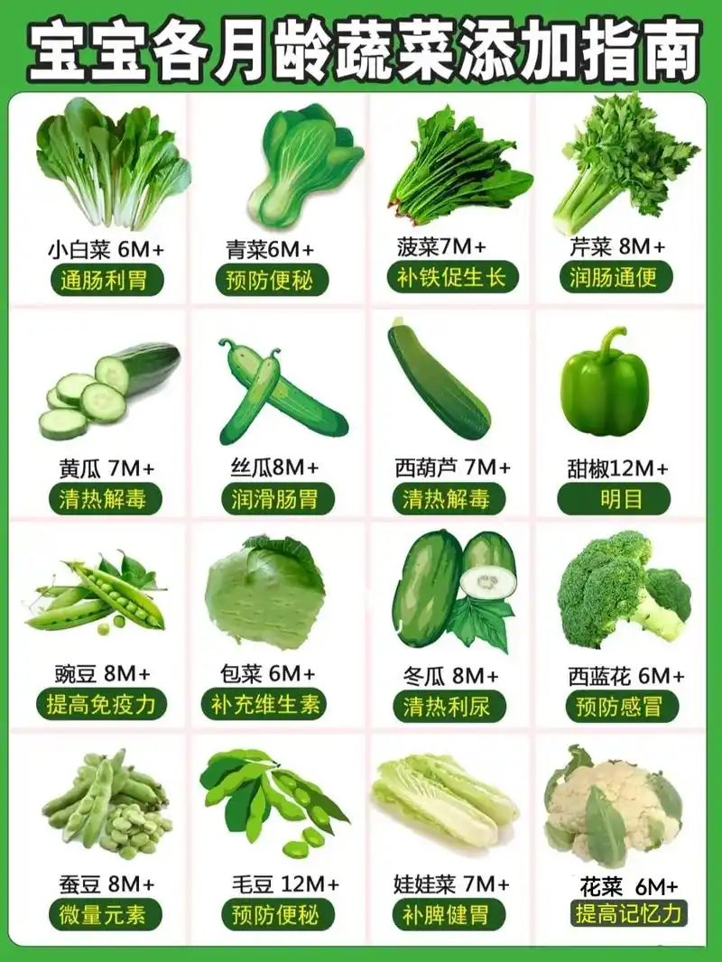 常见绿色蔬菜|辅食添加顺序和营养价值做法