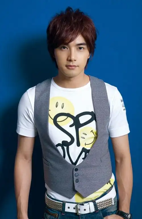 p>翔琳指的是贺军翔和杨丞琳的cp合称. /p>