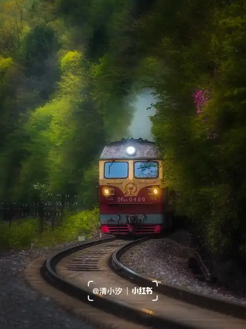 去记录一列火车的四季,而四季则用了一年的时间去记录我们一年的路程