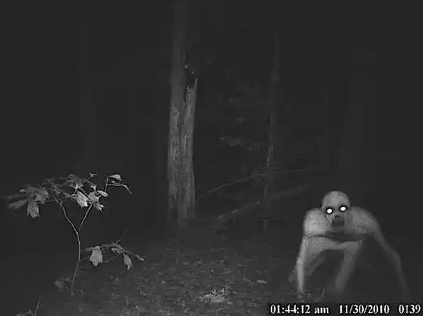 4,面无表情的女人