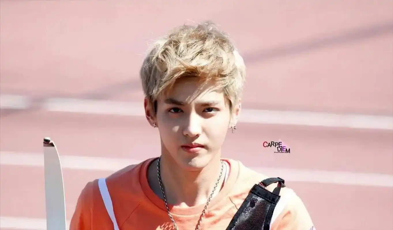 2016年,网红黄恺嘉在一个app上曝光了自己和吴亦凡的亲密照片,可惜