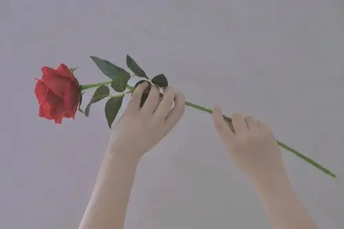 壁纸 桌面壁纸 聊天背景 锁屏壁纸 ins 油画 iphone 【禁商用】