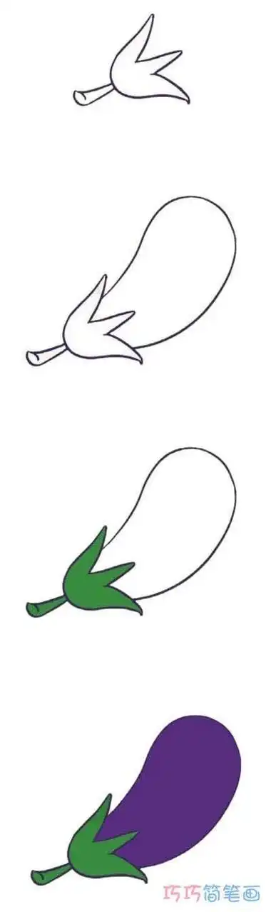 茄子发芽生长过程简笔画