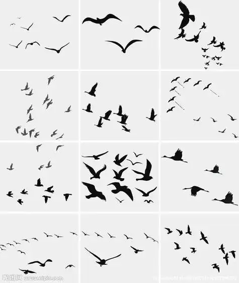 大雁雄鹰飞翔psd素材图片飞翔的大雁大雁南飞的大雁大雁怎么画简笔画