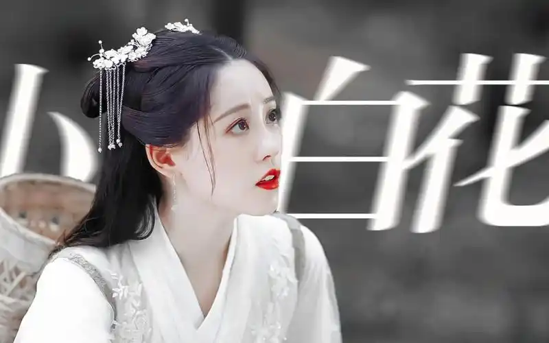 祝绪丹流萤清纯柔弱楚楚可怜的神级小白花