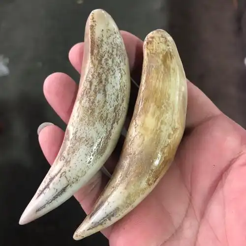 古玩杂项批发复古做旧仿野猪牙吊坠树脂饰品手把件挂件