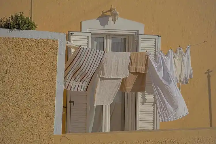 ins壁纸拥有自由 书 和阳光 人生哪有不快乐